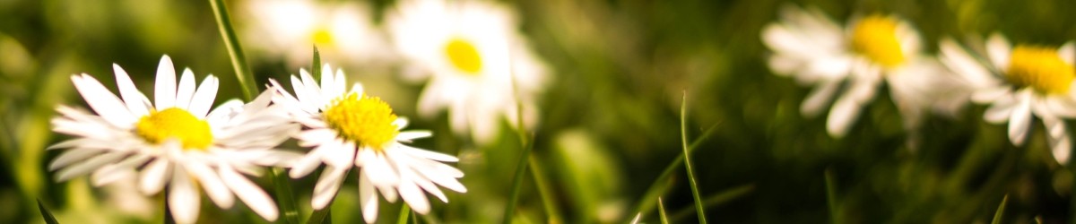 naturland_menu_banner