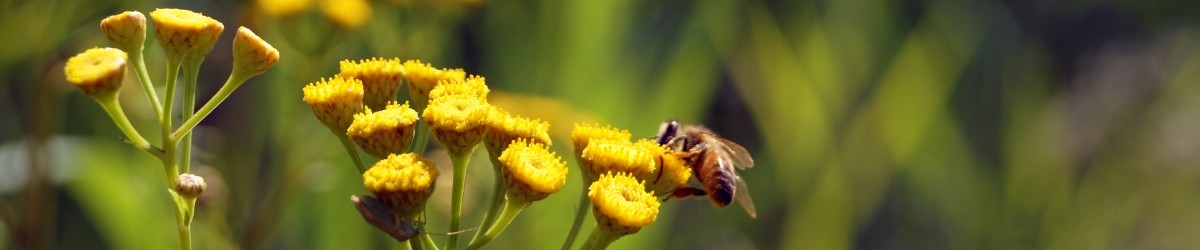 naturland_menu_banner2